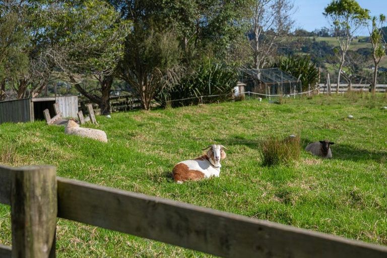 Photo of property in 96 Dormer Road, Kaukapakapa, Helensville, 0875