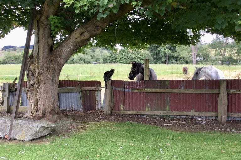 Photo of property in 25 Mount View Street, Raetihi, 4632