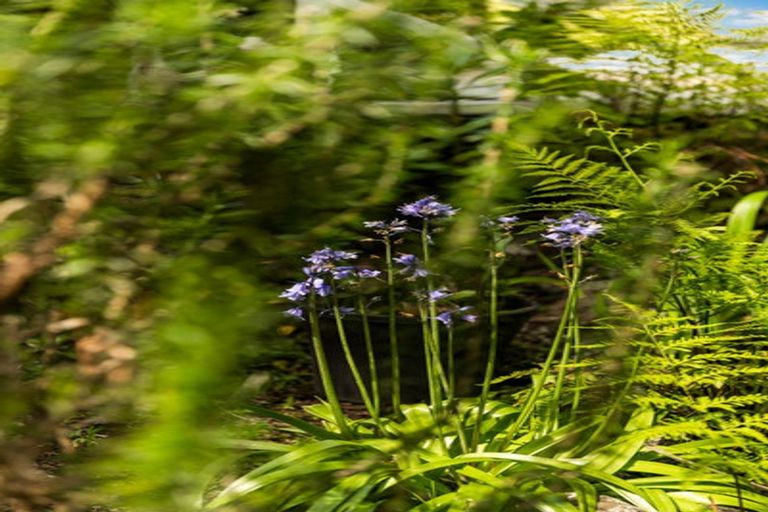 Photo of property in 2/41 Lyons Avenue, Murrays Bay, Auckland, 0630