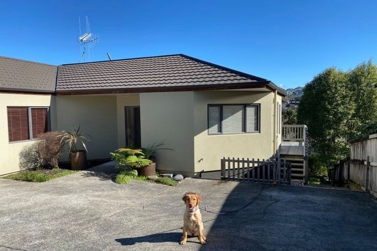 Photo of property in 17a Thomson Avenue, Dinsdale, Hamilton, 3204