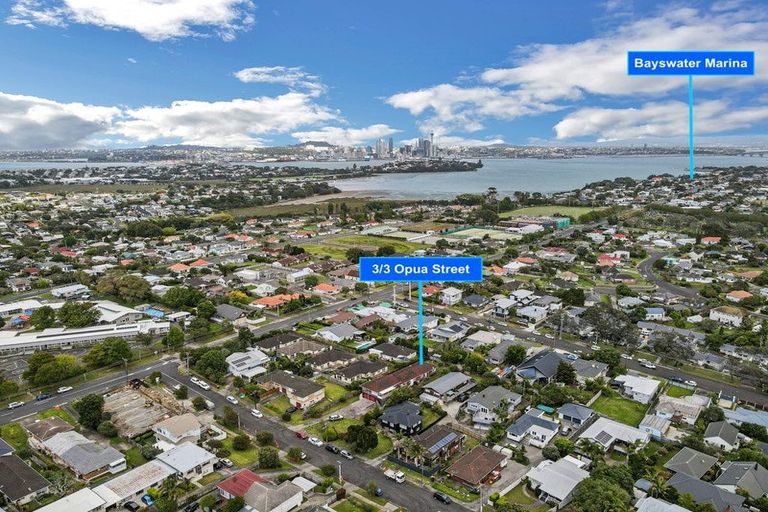 Photo of property in 3/3 Opua Street, Belmont, Auckland, 0622