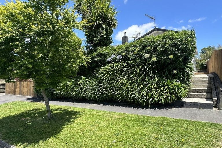 Photo of property in 161 Rimu Street, Maeroa, Hamilton, 3200