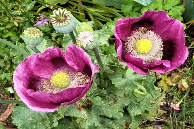 Photo of property in 145 Jones Road, Tawharanui Peninsula, Warkworth, 0986