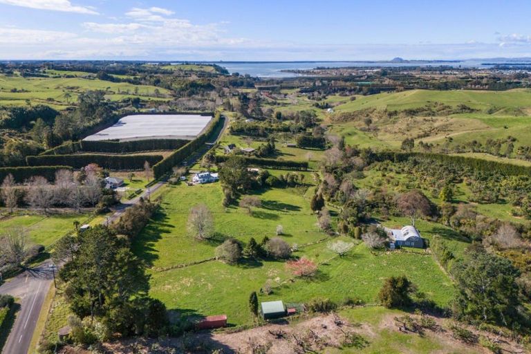 Photo of property in 167 Willoughby Road, Tahawai, Katikati, 3170