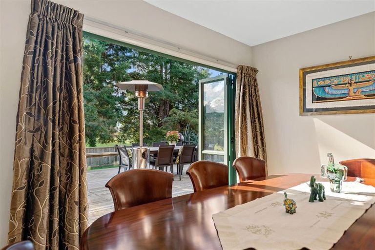 Photo of property in 46a Nikau Street, Springfield, Rotorua, 3015