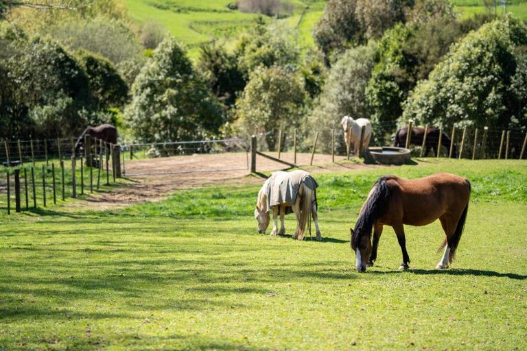 Photo of property in 178 Whitehall Road, Karapiro, Cambridge, 3496
