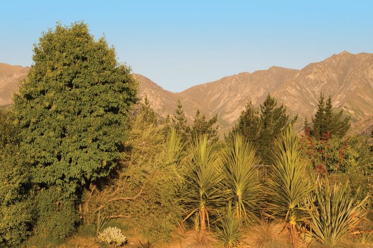 Photo of property in 33 Lichen Lane, Lake Hawea, Wanaka, 9382