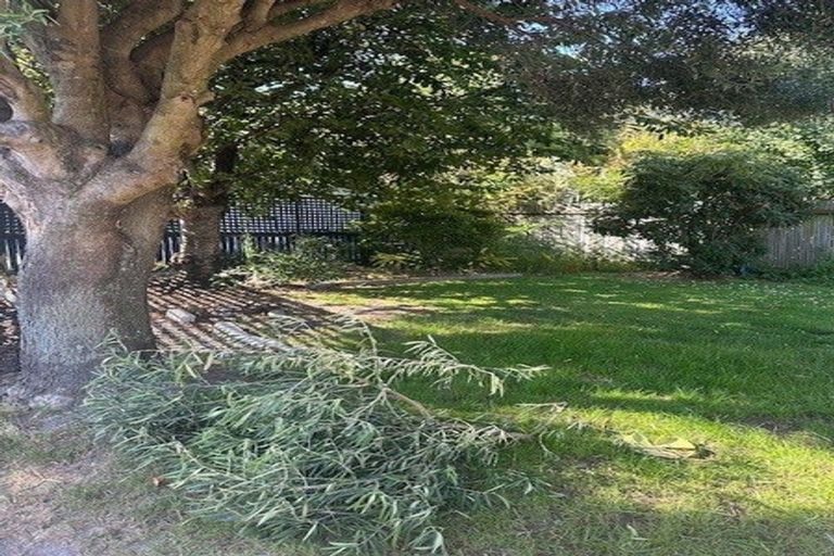 Photo of property in 1/36 Bristol Street, St Albans, Christchurch, 8014