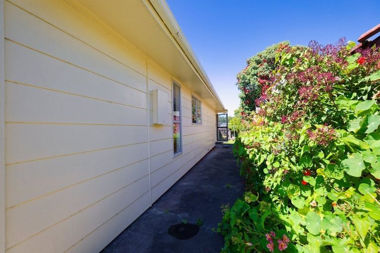 Photo of property in 19 Whitby Place, Kaikoura, 7300