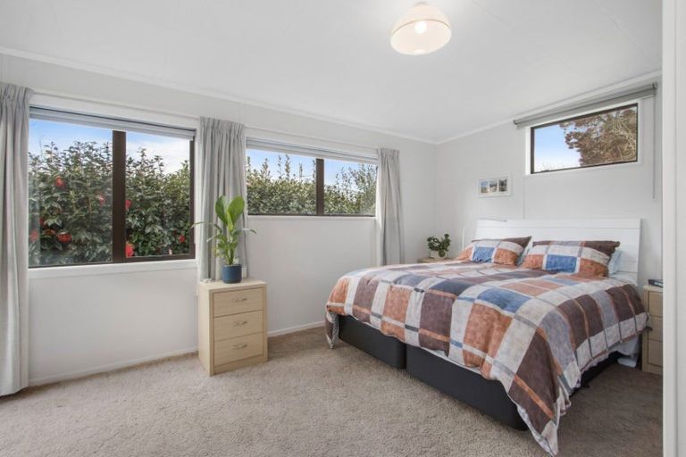 Photo of property in 33 Bradford Street, Waihi, 3610