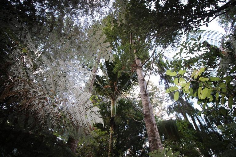 Photo of property in 2567 Rings Road, Coromandel, 3506