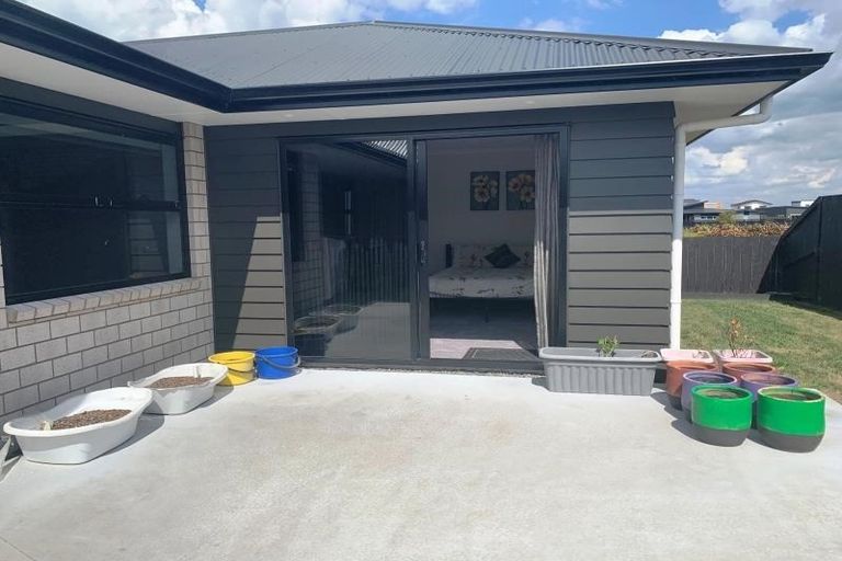 Photo of property in 41 Lulu Avenue, Chartwell, Hamilton, 3210
