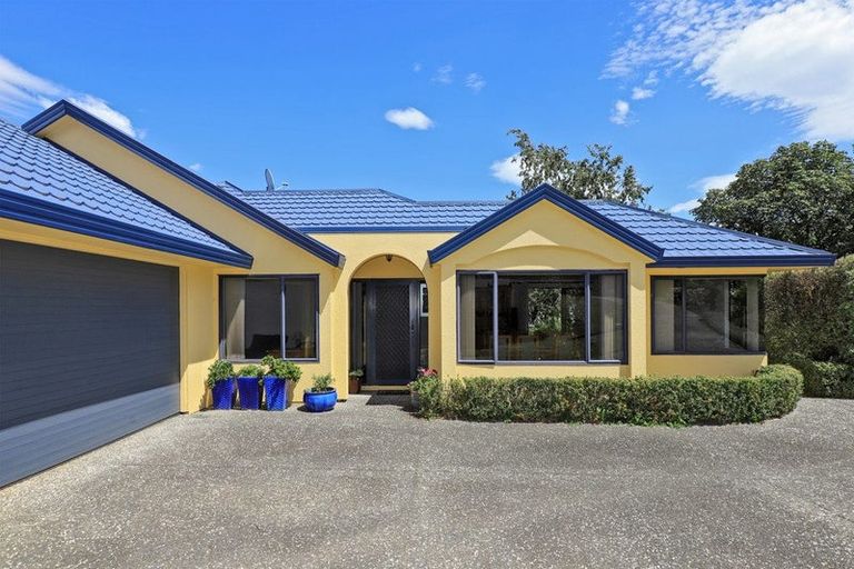 Photo of property in 58 Palmerston Road, Havelock North, 4130