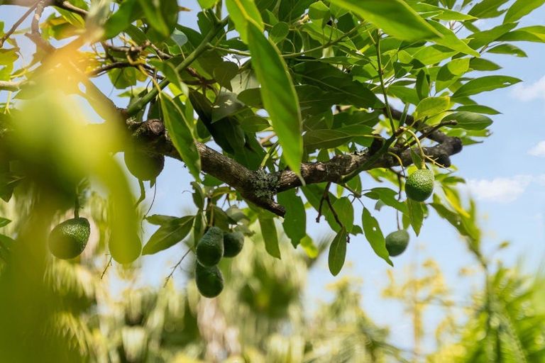 Photo of property in 124 Western Hills Drive, Kensington, Whangarei, 0112