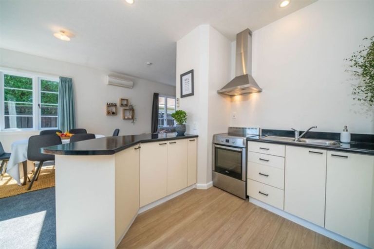 Photo of property in 55 Diamond Avenue, Spreydon, Christchurch, 8024