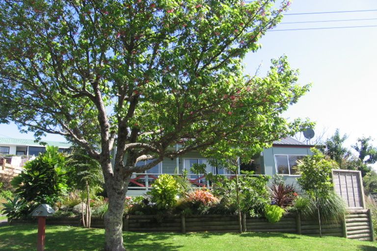 Photo of property in 11a Wellesley Grove, Gate Pa, Tauranga, 3112