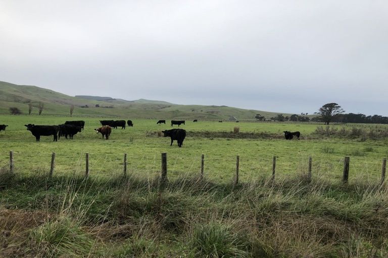 Photo of property in 65 Beach Road, Porangahau, 4293