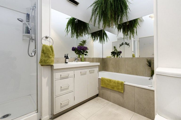 Photo of property in 203a Thirteenth Avenue, Tauranga South, Tauranga, 3112