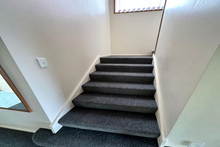 Photo of property in 169 Somerville Street, Waverley, Dunedin, 9013