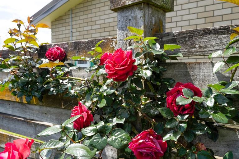 Photo of property in 12 Corfe Castle Lane, Levin, 5510