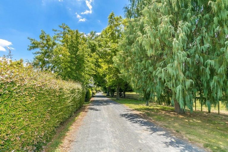 Photo of property in 141 Racecourse Road, Cambridge, 3493