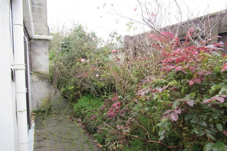 Photo of property in 345 Te Moana Road, Waikanae, 5036