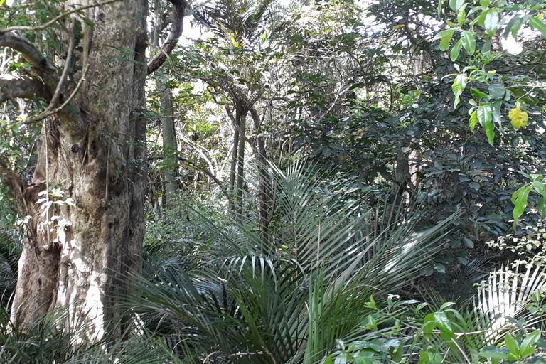 Photo of property in 296 Devich Road, Mangawhai, Kaiwaka, 0573