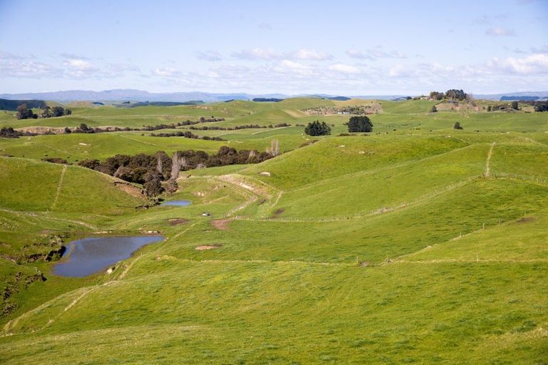 Photo of property in 814 Crownthorpe Sett Road, Crownthorpe, Hastings, 4179