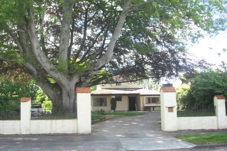 Photo of property in 59 Bowen Street, Cambridge, 3434