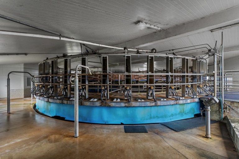 Photo of property in 165 Motu Road, Toatoa, Opotiki, 3197