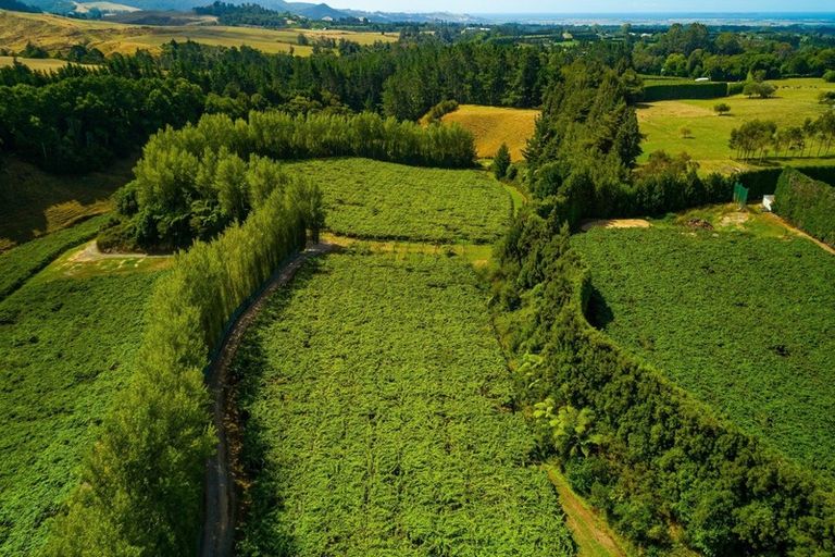 Photo of property in 866 No 2 Road, Te Ranga, Te Puke, 3182