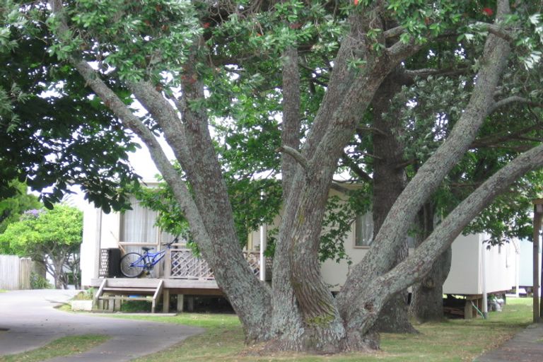 Photo of property in 39 Sutherland Road, Point Chevalier, Auckland, 1025