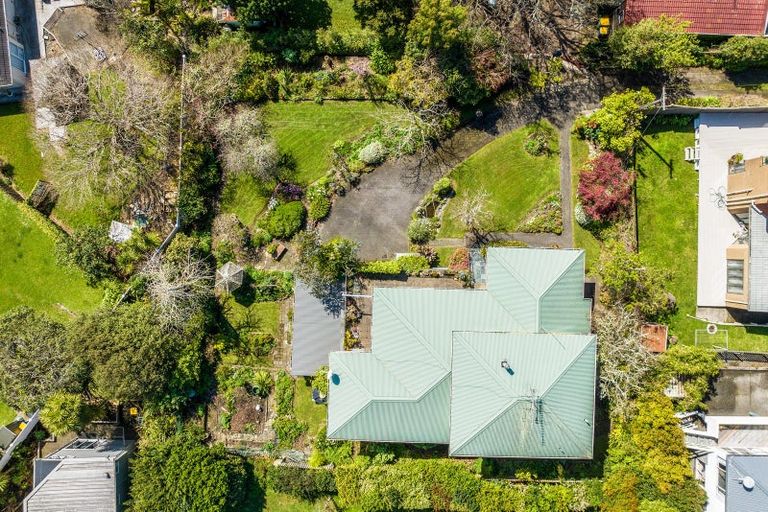 Photo of property in 75a Oceanview Road, Mount Maunganui, 3116
