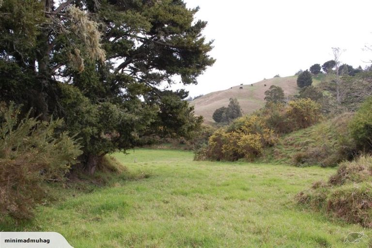 Photo of property in 229 Settlement Road, Kaiwaka, 0573