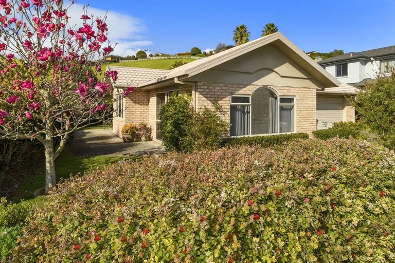 Photo of property in 238 Castlewold Drive, Bethlehem, Tauranga, 3110