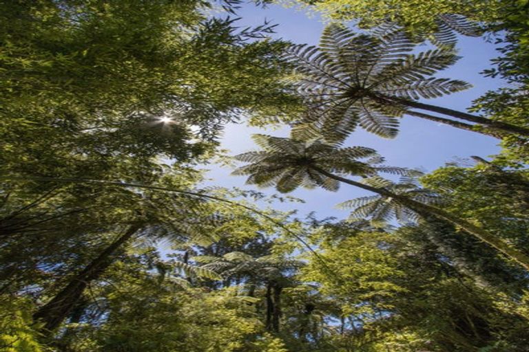 Photo of property in 425b Lund Road, Aongatete, Katikati, 3178