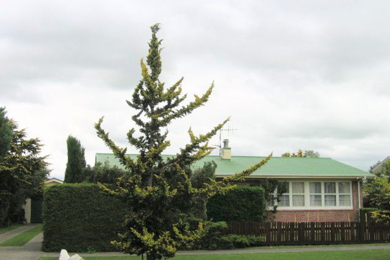 Photo of property in 19 Gordon Avenue, Te Aroha, 3320