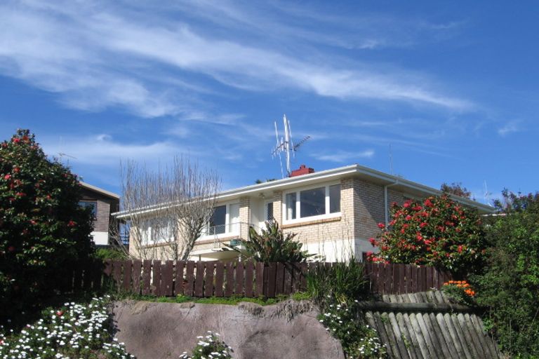 Photo of property in 143 Hinewa Road, Otumoetai, Tauranga, 3110