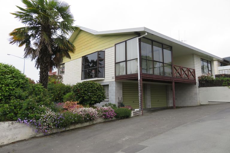 Photo of property in 115 Domain Avenue, Temuka, 7920
