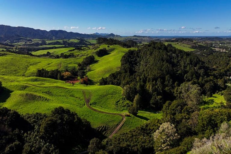 Photo of property in 404 Tara Road, Mangawhai, Kaiwaka, 0573