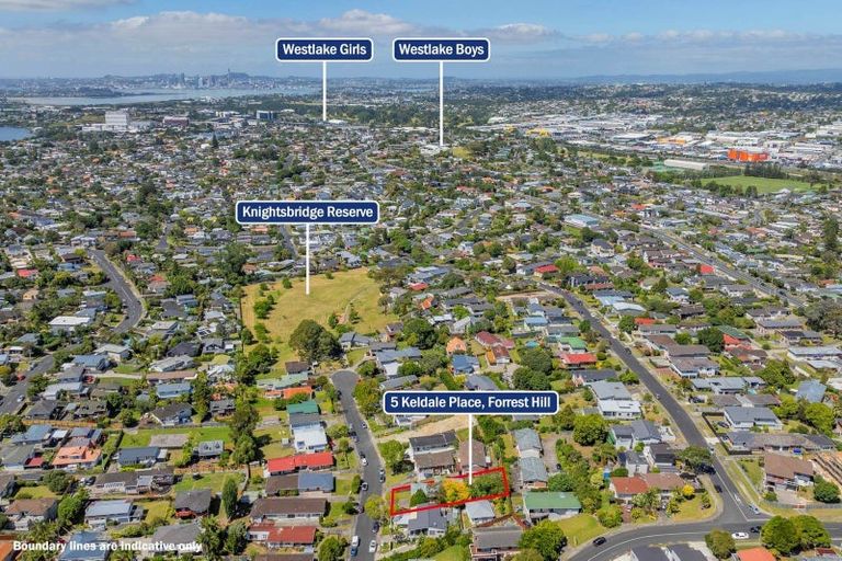 Photo of property in 1/5 Keldale Place, Forrest Hill, Auckland, 0620