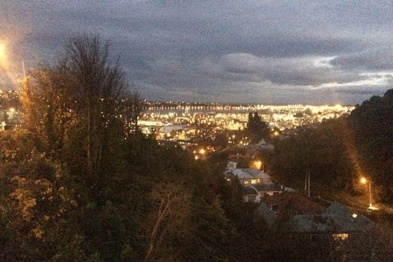 Photo of property in 20 Lachlan Avenue, North Dunedin, Dunedin, 9016