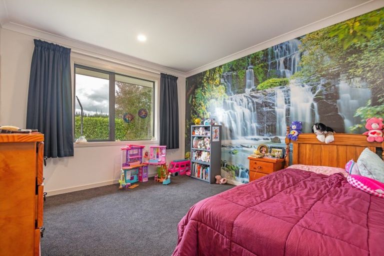 Photo of property in 78 County Heights Drive, Aokautere, 4471