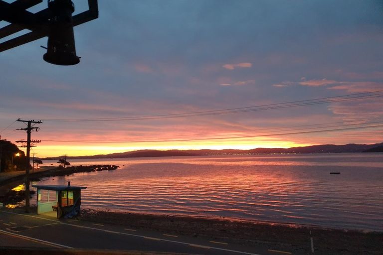 Photo of property in 445 Marine Dr Mahina Bay, Mahina Bay, Lower Hutt, 5013