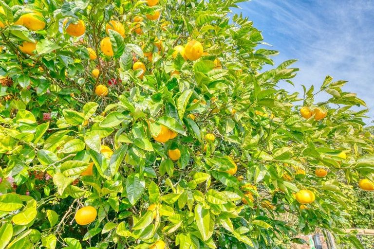 Photo of property in 2a Golden Sands Road, Barrytown, Runanga, 7873