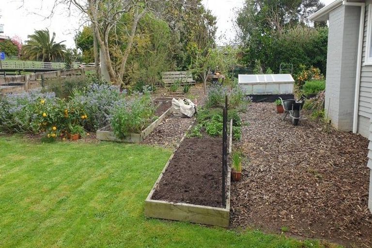 Photo of property in 31 Whangarata Road, Tuakau, 2121