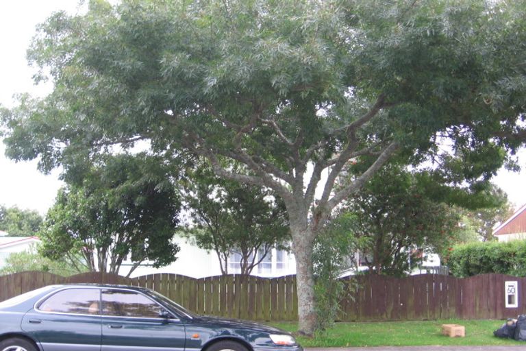 Photo of property in 60 Buscomb Avenue, Henderson, Auckland, 0610