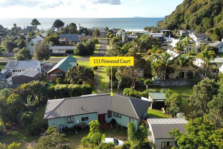 Photo of property in 111 Pinewood Court, Matarangi, Whitianga, 3592