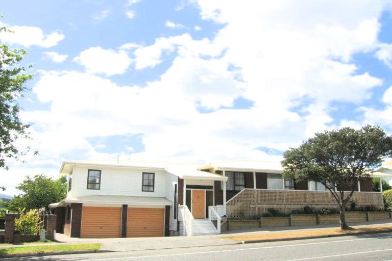 Photo of property in 115 Gemstone Drive, Birchville, Upper Hutt, 5018