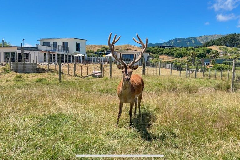 Photo of property in 27 Raukawa Road, Peka Peka, Waikanae, 5391